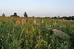 Jüdischer Friedhof in Smilavichy