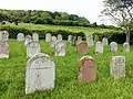 Neuer Friedhof (Juni 2020)
