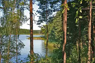 See Zyzdrój Wielki