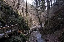 NÖ: Johannesbachklamm