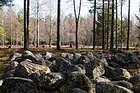 Gräberfeld von Jordbro