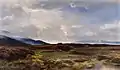 Weite Landschaft im Dachauer Moos