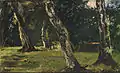 Parklandschaft mit alten Bäumen