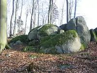 Nach einer lokalen Variante der Sage vom Rodensteiner stürzte die Hundemeute, die den Geisterreiter bei seiner wilden Jagd durch die Lüfte begleitete, über der Juhöhe ab. Nur die versteinerten Köpfe ragen noch aus dem Boden.