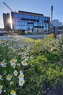 Der Hauptsitz von Jyllands-Posten am Hafen von Aarhus im Sommer 2022.