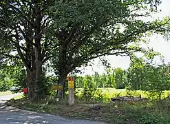 Ehemals „Köthnerhöfen“