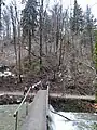 Beschädigte Brücke (Küsnachter Tobel)