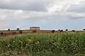 Blick auf den Han von Nordwesten.