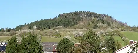 Gipfel des Saupurzels im Frühling
