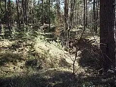 Gräben durchziehen das ganze Gelände
