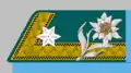 Kadettoffiziersstellvertreter (bis 1908)