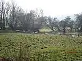Doppelturmhügel "Judenberg" Kagenow