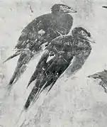 Schiebetür im Zenkyō-an, Detail