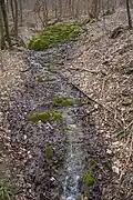 Bachlauf