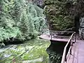 Wanderweg in der Wilden Klamm (Divoká Soutěska)