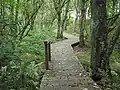 Lehrpfad