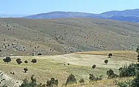 Die Änderung der Streichrichtung der weitgehend baumarmen Karakuş Dağları im Norden der Eğirdir-Hoyran-Senke aus der Südwest-Nordost-Richtung in die Nordwest-Südost-Richtung markiert bereits die Scheitellinie der Kurve von Isparta.