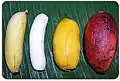 'Cavendish'-Bananen (links) und 'Karat'-Banane, eine Feʻi-Bananen-Variation (rechts)