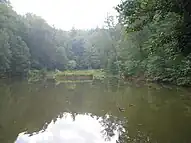 Blick auf den Karlsbergweiher