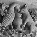 Adler und Schwein