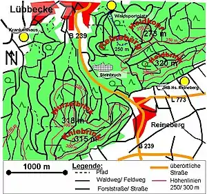 Vom Waldsportplatz in Lübbecke stur Richtung Süden wandernd erreicht man den Reineberg in 10–15 Minuten