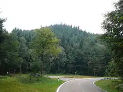 Katzenkopf