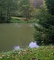 Blick über den Katzsohlteich