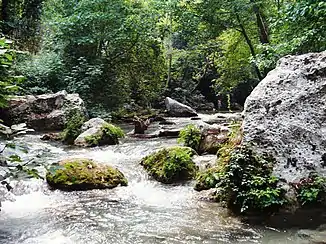Kayaci-Tal