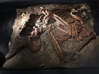 Das Neandetaler-Skelett Kebara 2 (Replikat)