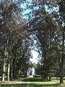 Kees'scher Park Blutbuchenallee