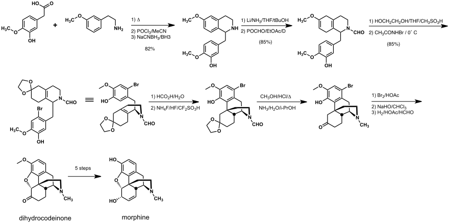 Rice-Morphinsynthese