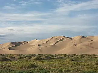 Dünen im Khongoryn Els