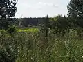 Fläche im Kiehnmoor