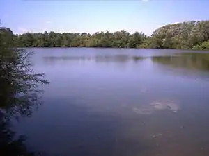 Der an Elmschenhagen angrenzende Tröndelsee, fotografiert in Richtung Westen, links im Bild ist noch die Spitze des Kieler Fernmeldeturms zu erkennen (Aufnahme August 2009)