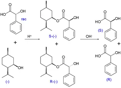 Kinetische Racematspaltung, Veresterung von racemischer Mandelsäure mit optisch aktivem (−)-Menthol nach Marckwald und McKenzie