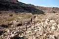 Wandergruppe im Nationalpark