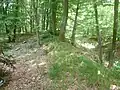 Wallkrone des Kleinkastells Kaisergrube