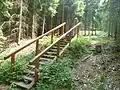 Zugang zum Kleinkastell Ockstädter Wald