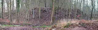 Wall und umlaufender Graben von Fort&nbsp;III