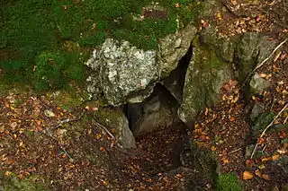Eingang der Kleinen Burschenhöhle, ca. 60 × 80 Zentimeter