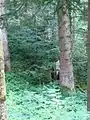 Kleinunterstand Schüsselbach Im Fang A 7270