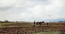 Auf dem durchpflügten Acker, 1872