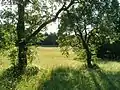 Karutschnig-Wiese heute