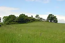 Die Kopfsteine westlich von Fürstenwald