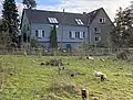 Zwergschafe- u. Hühnerhaltung / Kormannshausen 6