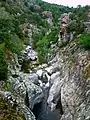 In den Gorges du Prunelli unterhalb von Bastelica