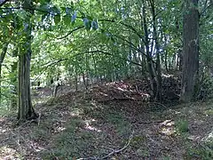 Kernburgplateau. Mauerrest (Geländewulst) im Süden