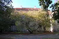 Blick vom heute öffentlichen Park auf die Rückseite des Palastes
