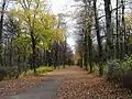 Hauptallee