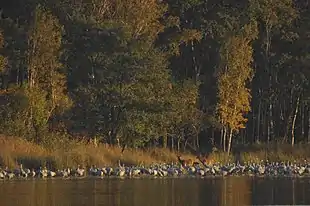 Herbst am Rederangsee
